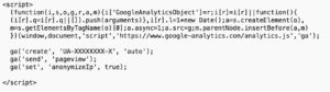 Google Analytics Anonymize IP Tracking Code